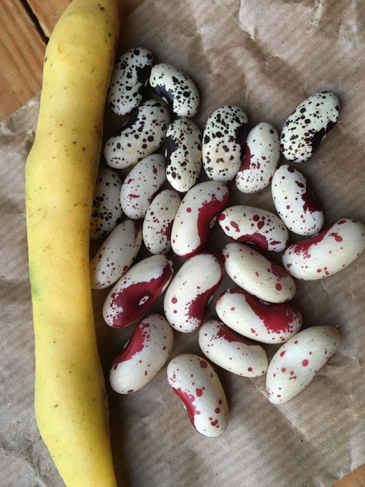 Cannellini Rosso I Nero