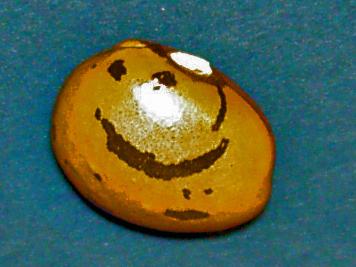 Smiley