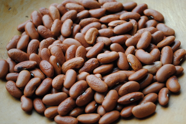 Dugonja