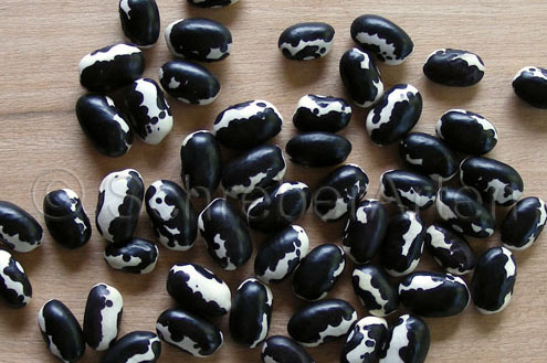 Carpinteros