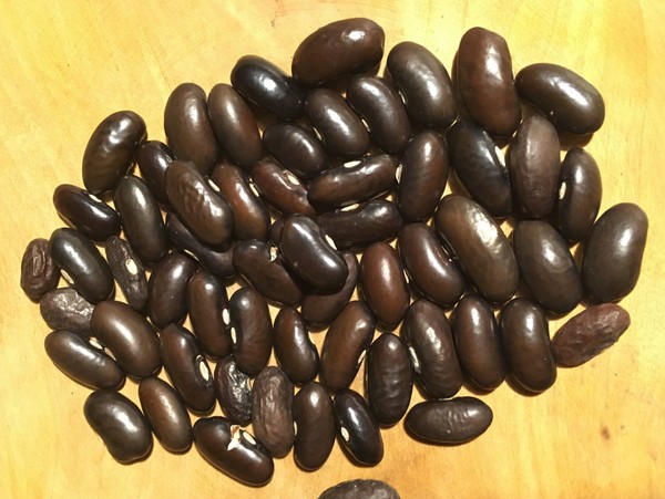 Arizona graubraun #