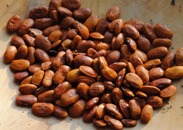 Tatopani