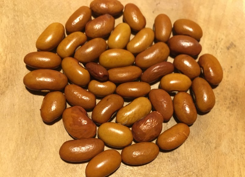 Bodenkichele