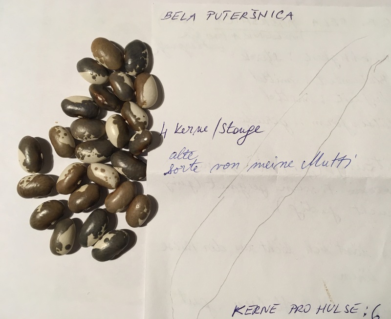 Bela Putersnica