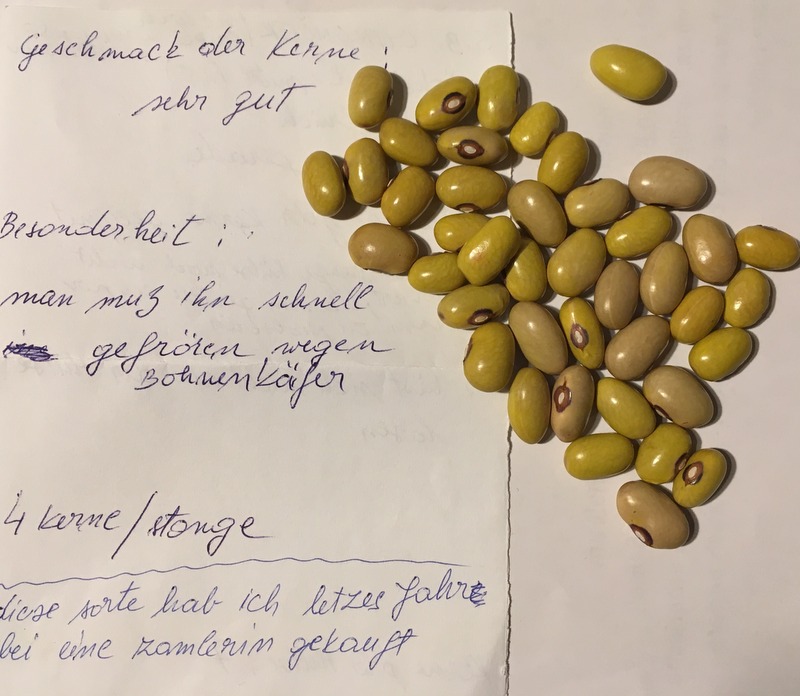 Citroncek