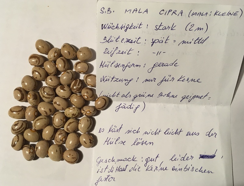 Mala Cipra