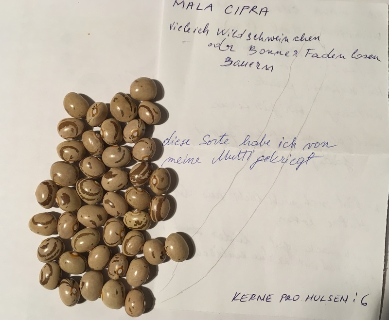 Mala Cipra