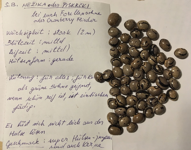 Nezika (Piskrcki)