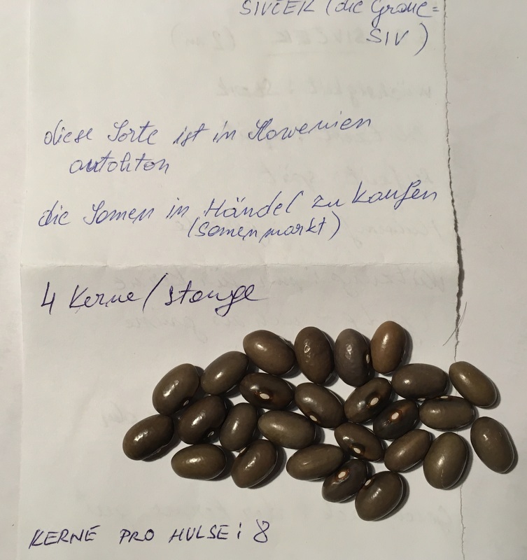 Sivcek