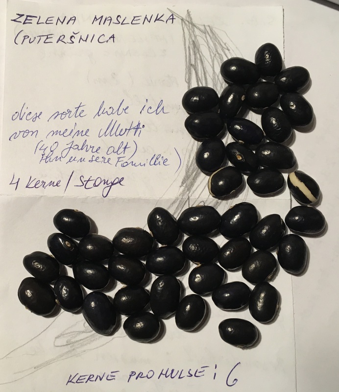 Zelena Maslenka (Putersnica)