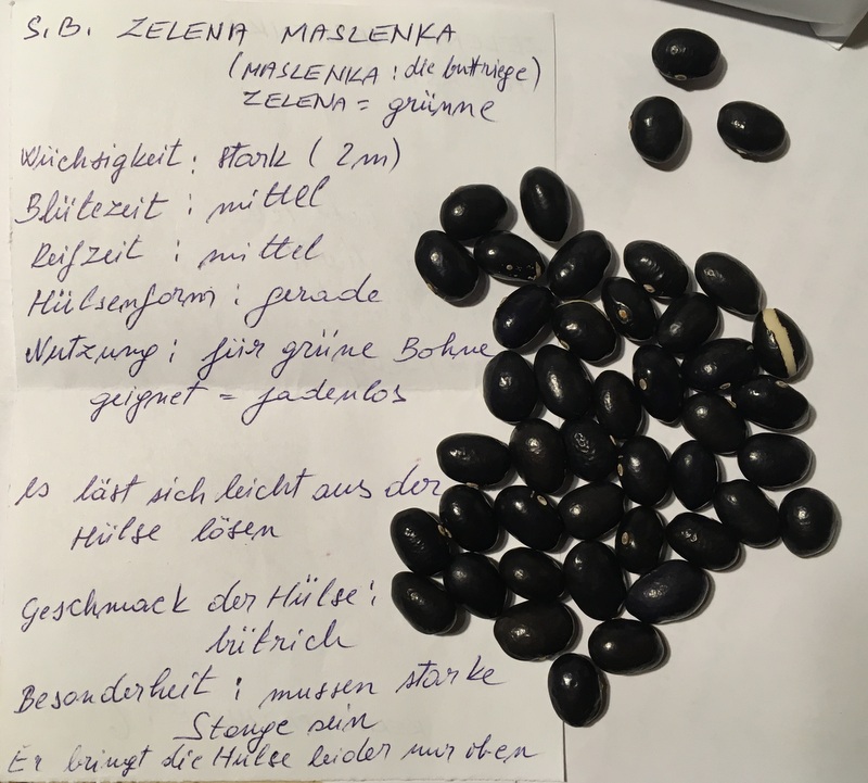Zelena Maslenka (Putersnica)