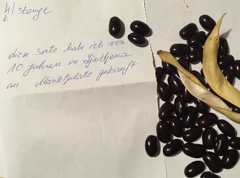 DunkelRote aus Ljubljana
