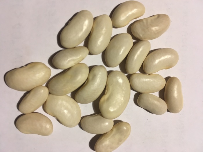 Saint Fiacre Blanc