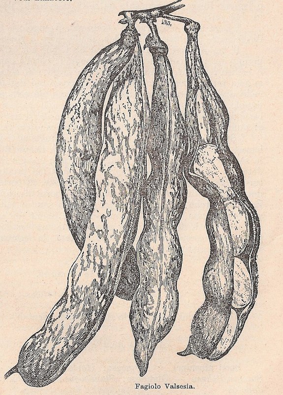Valsesia