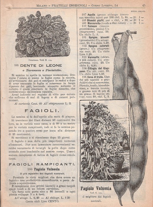 Valsesia