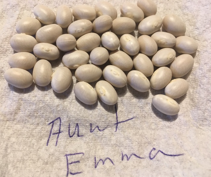 Aunt Emma's