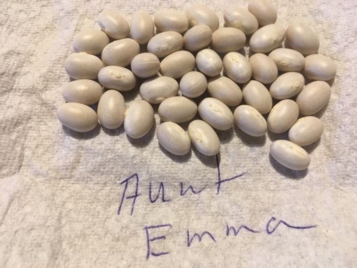 Aunt Emma's