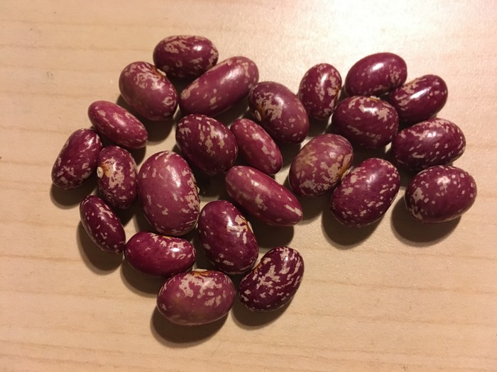 Georgien Gesprenkelte #21