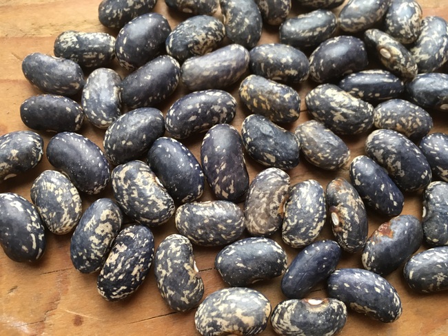 Schwarzkrizzel