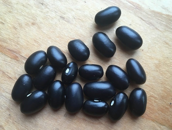 # Christinas Schwarze (Unbekannte)