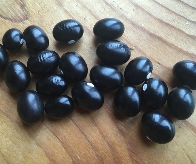 Schwarze Russische Speck