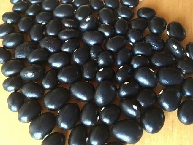 Coco Noir