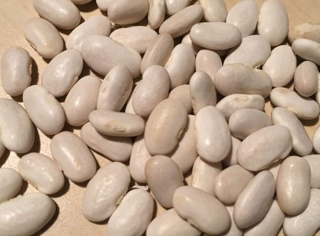 Marengo