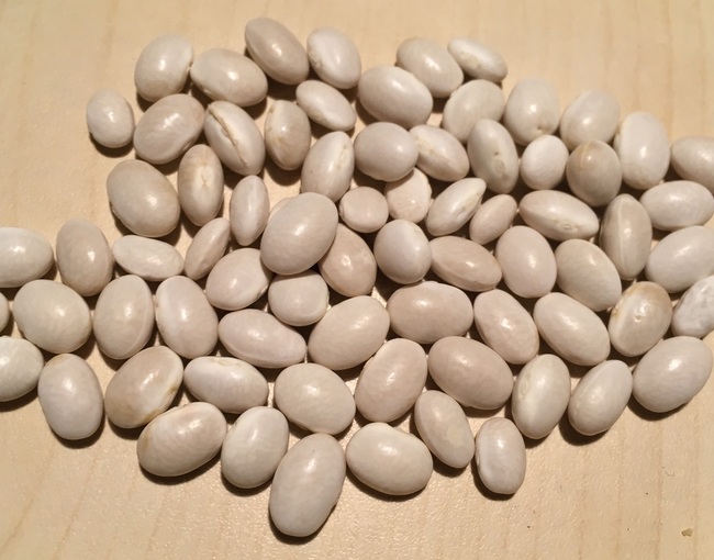 Rieserboon