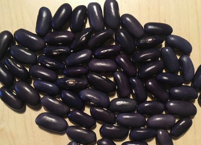 Sacre bleu