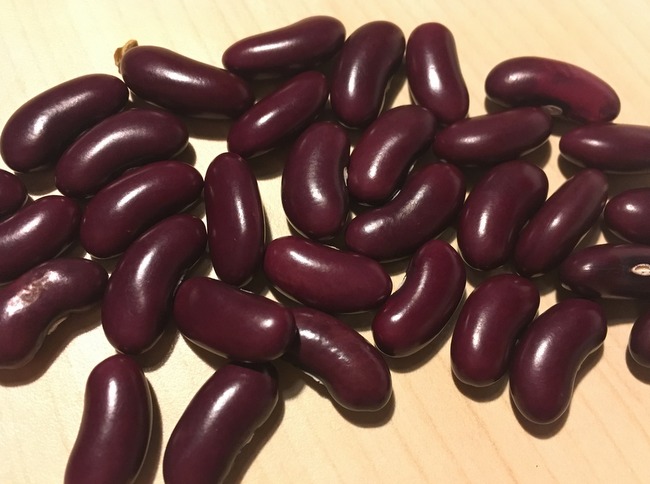 Violette Amalienbohne
