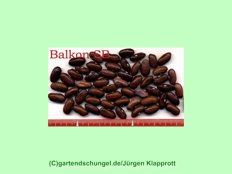 # Balkon
