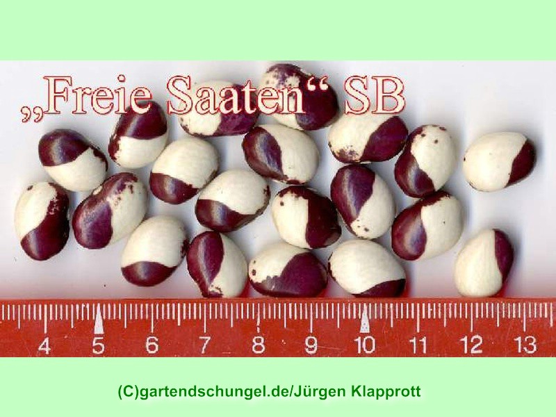# Freie Saaten