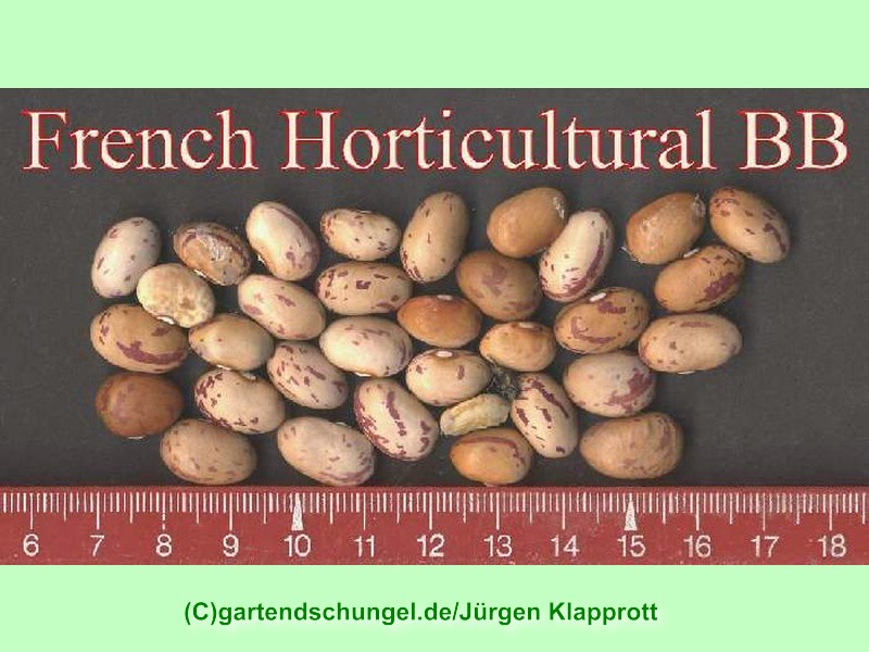 French Horticultural