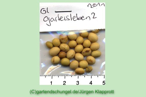 # Gatersleben 2