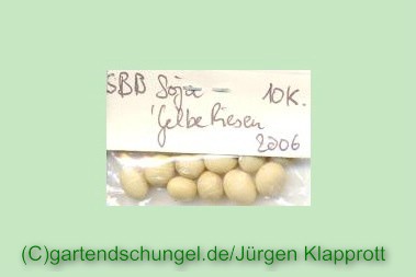 # Gelbe Riesen