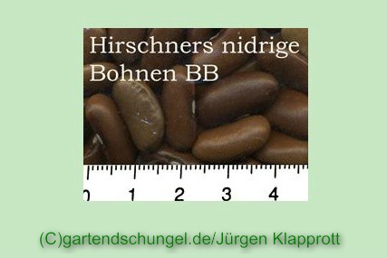 # Hirschners Nidrige Bonen
