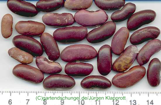Permanganat