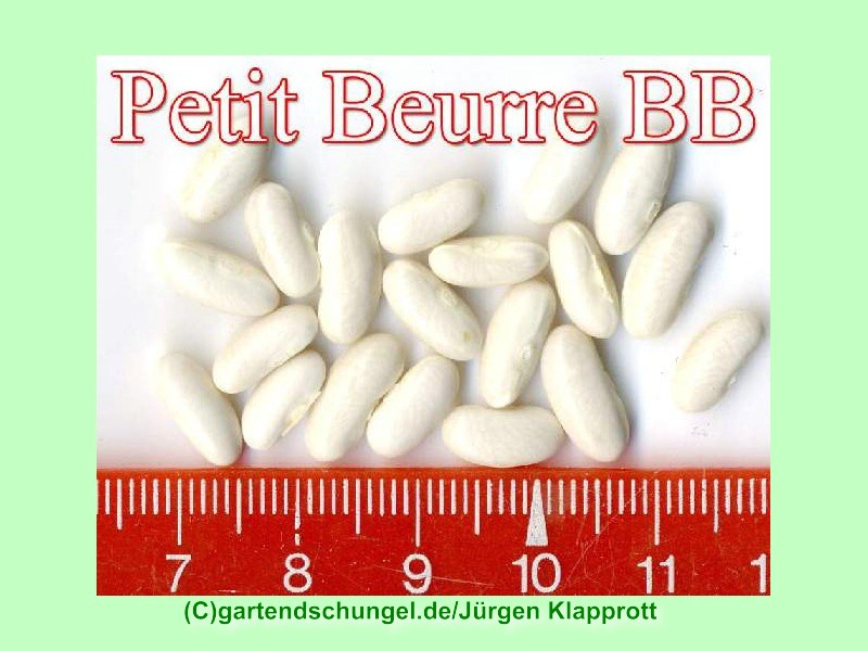Petit Beurre