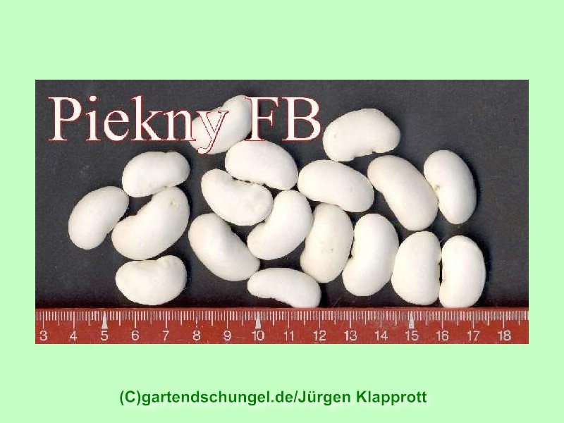 Piekny Jas