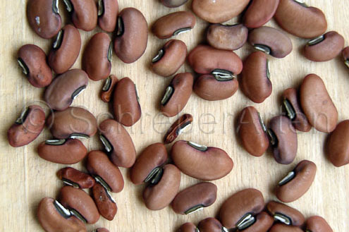 Green Seeded Snake Bean