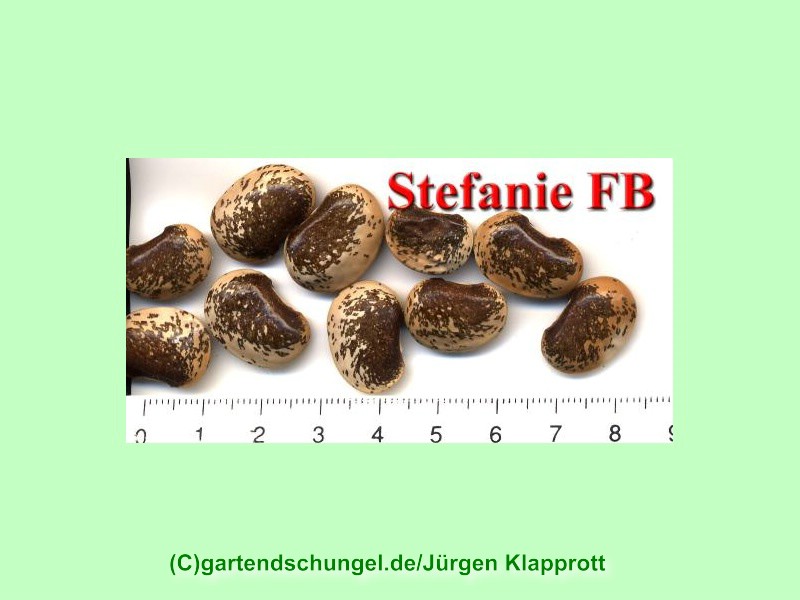 Stefanie