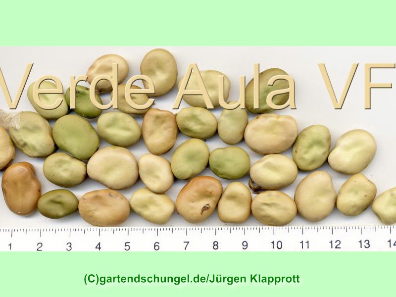Verde Aula