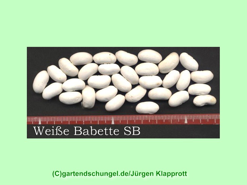 Weiße Babette