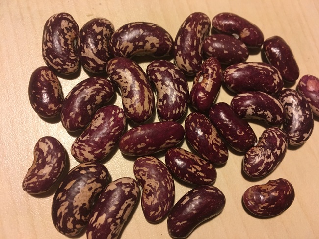 Afghanische Rote
