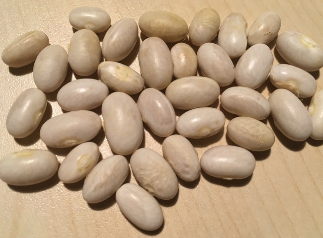 Dr. Becker No. 18