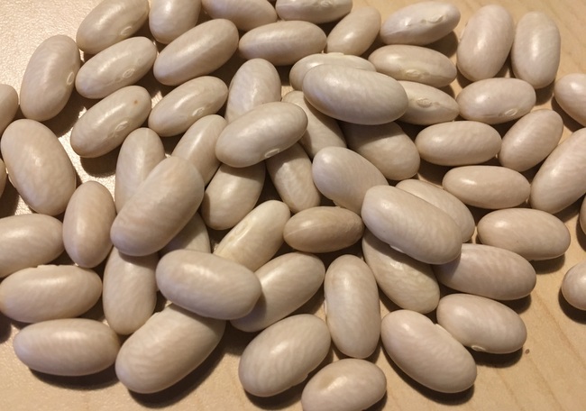 Haubners frühe Dickfleischige