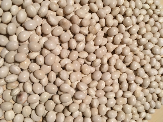 Lippoldsberger weisse Perle