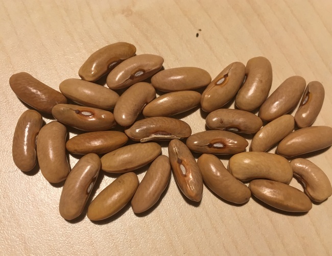 Marona