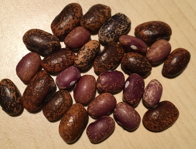 Mexican Dry