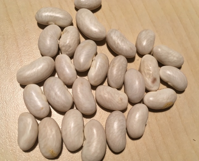 Perle von Marbach